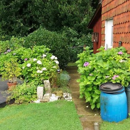 Ferienwohnung Im Waldwinkel Stadthagen Exteriör bild