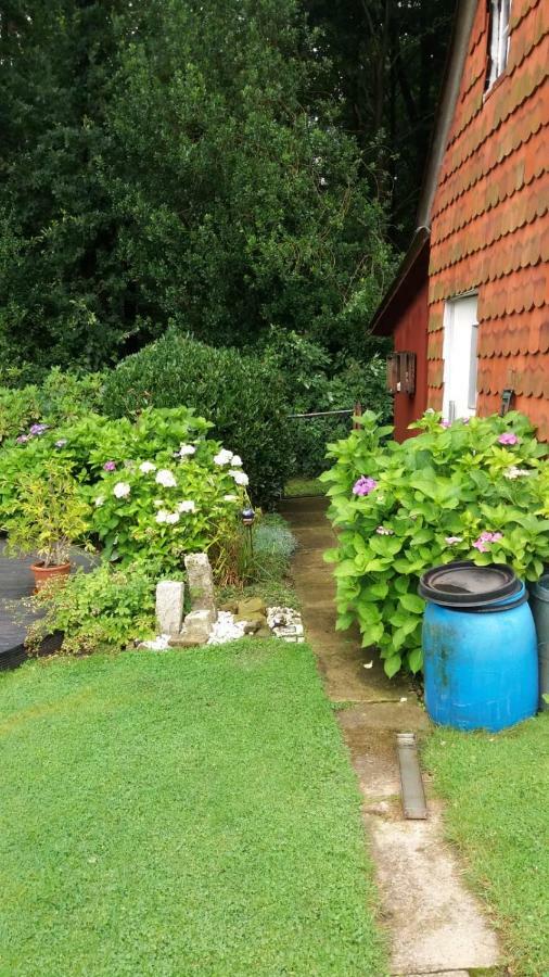 Ferienwohnung Im Waldwinkel Stadthagen Exteriör bild